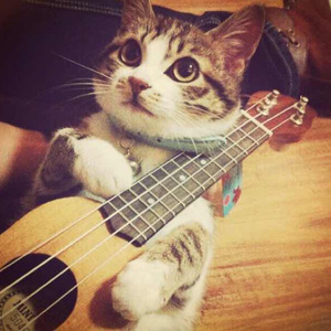 美女桶男人的机机
