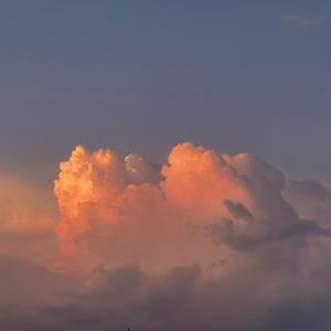 美女桶男人的机机
